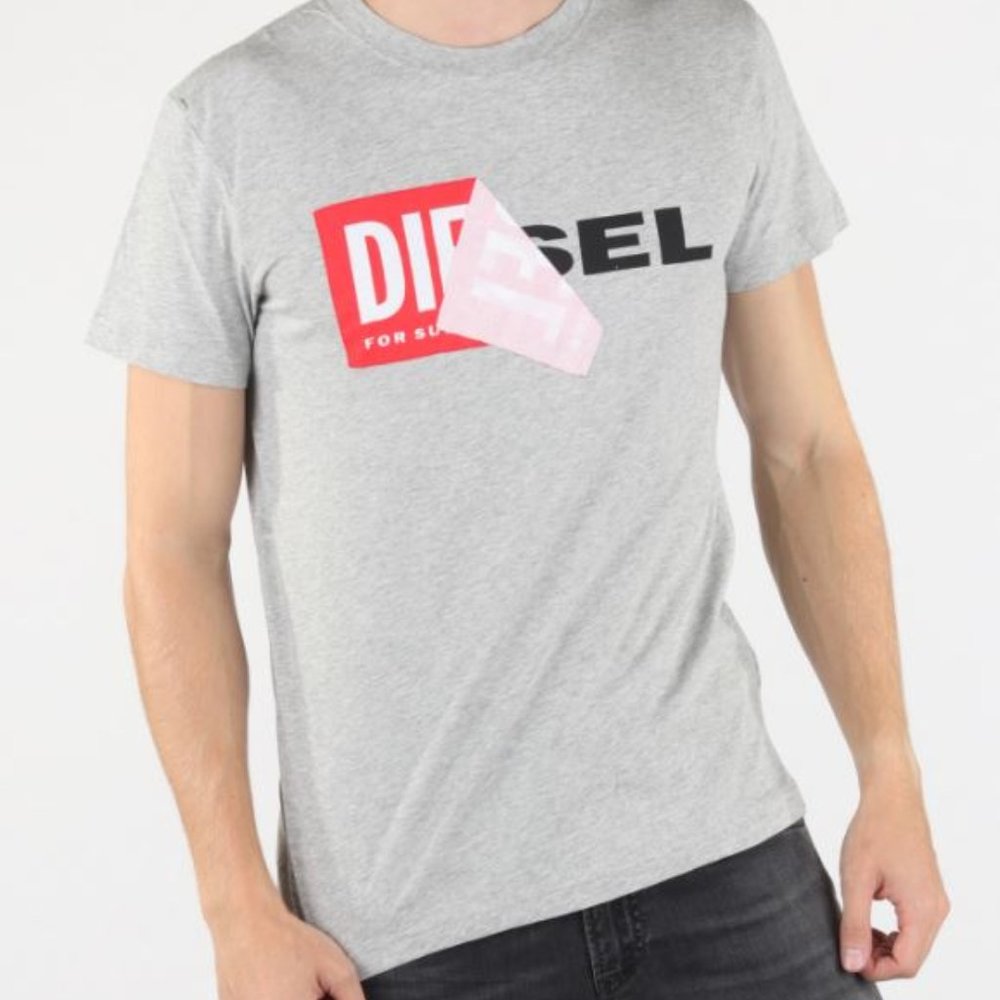 Diesel T-Diego-Qa Logo T-Shirt Grey Size Small - image 2
